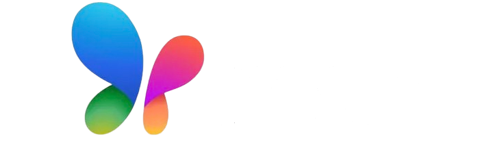 msn logo2